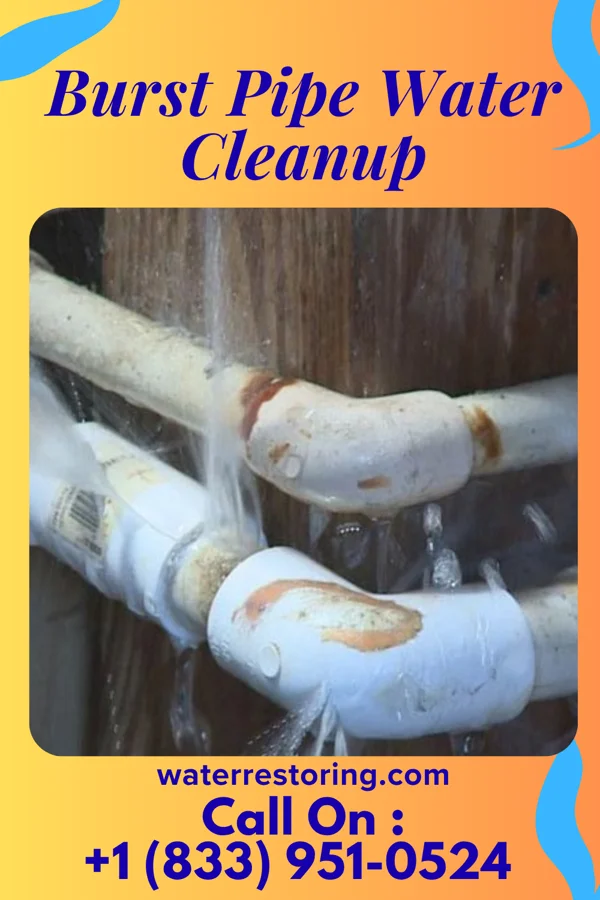 Burst Pipe Water Cleanup in Davidson, NC
