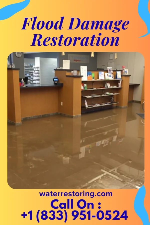 Flood Damage Restoration in Davidson, NC